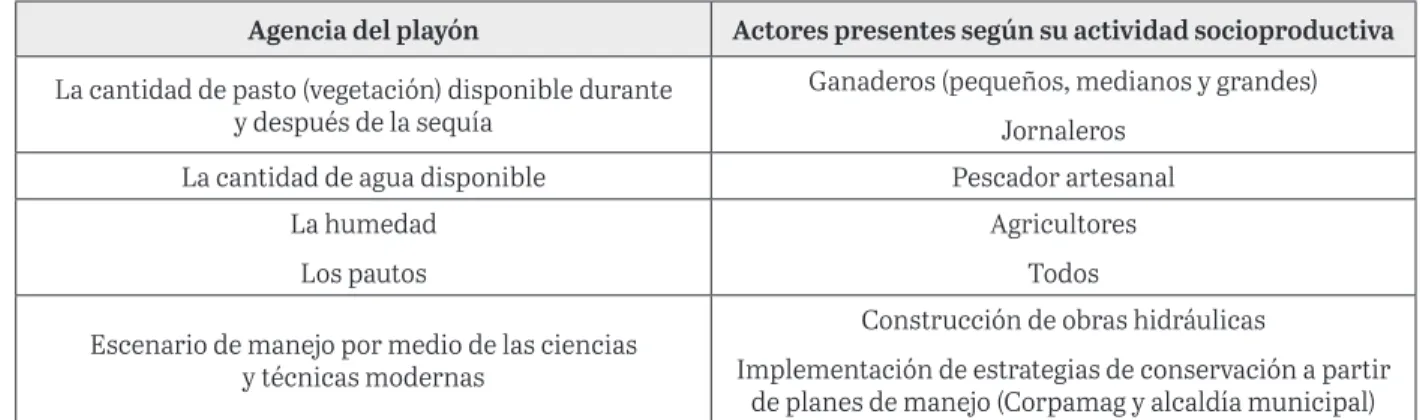 Tabla 2. Agencia del playón según actores presentes