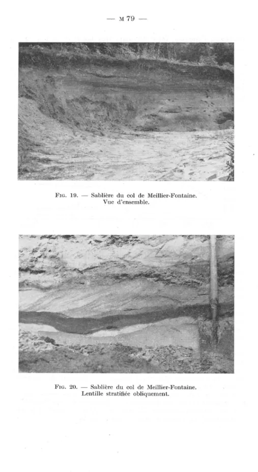 FIG.  19.  - Sablière  du  col  de  Meillier-Fontaine. 