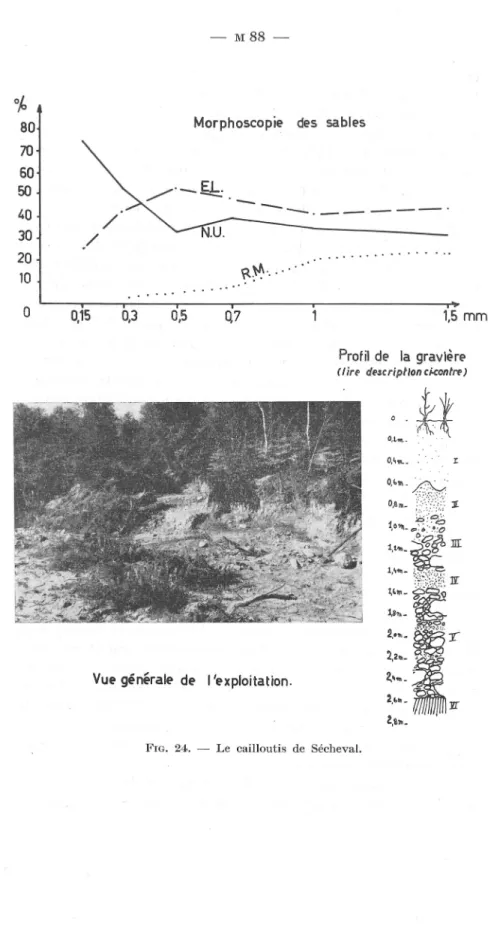 FIG.  24.  - Le  cailloutis  de  Sécheval. 