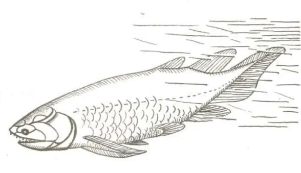 Figure 3 : Holoptichius (1 mètre de long) 