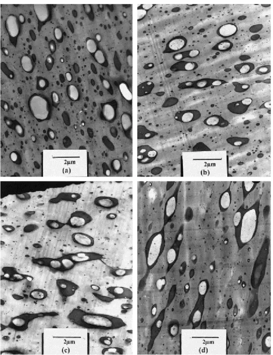 Fig. 3. TEM micrographs for PS/SBR/PO blends after compression molding, PO being: (a) PEBU-3; (b) LDPE; 