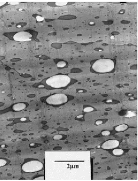 Fig. 4. TEM micrographs for PS/SBR/PP blends after compression molding.  
