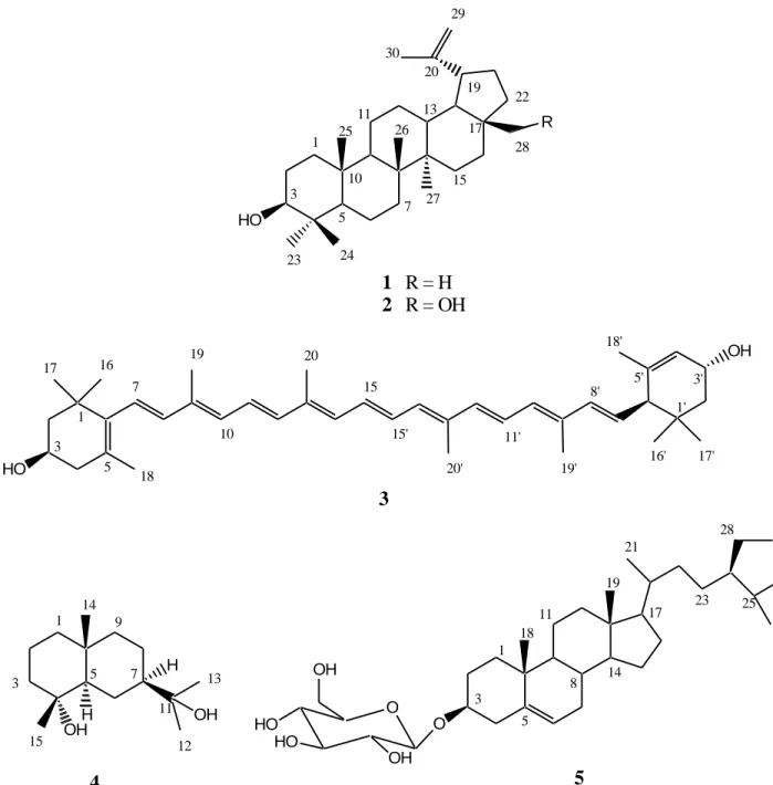 Figure 1. Structures of the isolated compounds. 