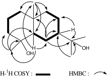 Figure 2. Selected correlations for compound 4 