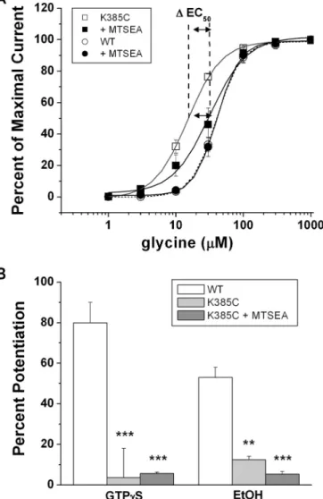 Fig. 8. SCAM modifications of 385. A, concentration-response curves of WT