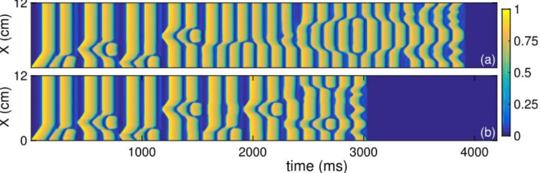 FIG. 4. Space–time plot of the dimen- dimen-sionless membrane potential, V  , for L ¼ 12 cm and g ~ sac ¼ 0:21, and with T ¼ 37  C