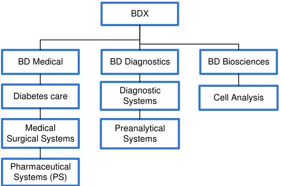 Figure 2  Segment BD Diagnostics  