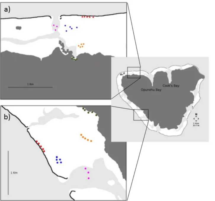 Fig 1. Maps of the North (a) and West (b) coasts of Moorea Island. Locations of the sound recordings for each of the five habitats (red dots = reef crest;