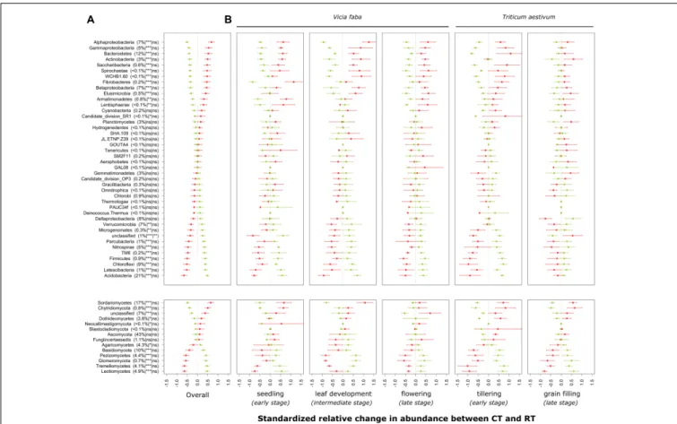 FIGURE 3 | Standardized relative changes in abundance of higher-order taxonomic groups between CT (red) and RT (green) across all growing stages (A) and separately for each individual growing stage (B)