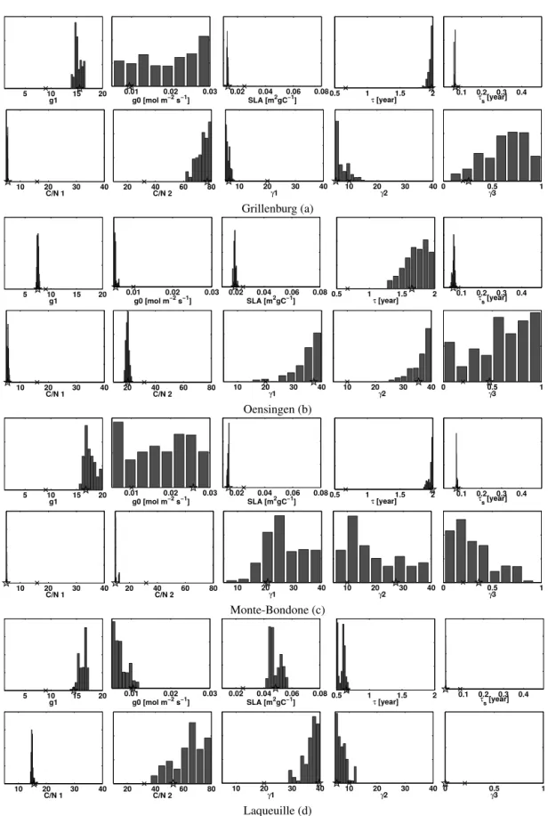 Figure 2. Posterior distributions of the CARAIB model parameters sampled by the DREAM (ZS) algorithm with the inferred homoscedastic error model (HO2 inversions) for all sites