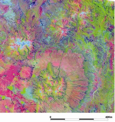Figura 9 Imagen falso color de los tres primeros  componentes principales de la imagen Landsat TM