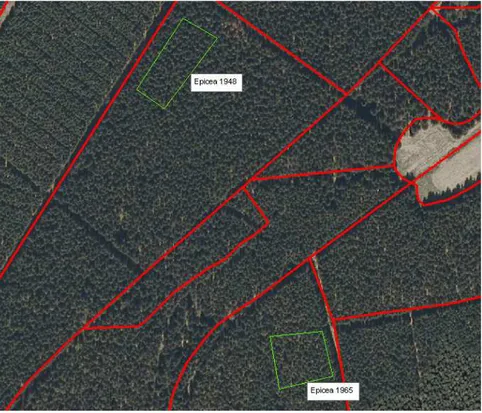 Figure 64. Utilisation du parcellaire forestier (cantonnement de Houffalize, limites en rouge)  comme appui à la digitalisation d’objets de référence en zone forestière