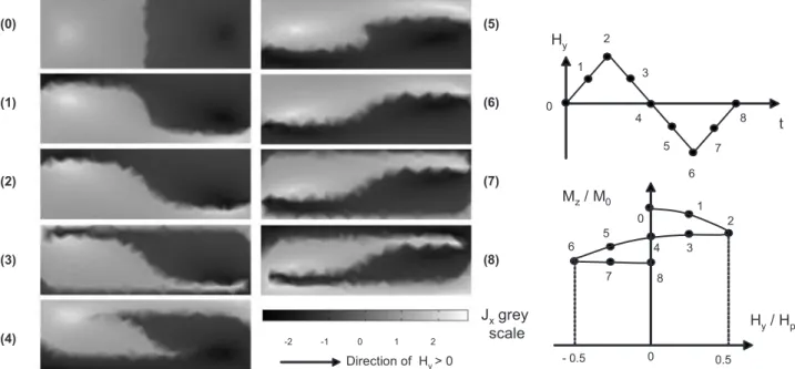 FIG. 3. Results of the numerical model of the central magnetic induction 储 z during the  applica-tion of one cycle of transverse field 储 y, as shown in the inset