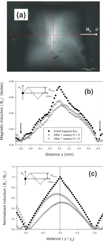 Figure 8共b兲 shows the distribution of the modulus of the trapped magnetic induction, 兩B z 兩, along the y axis—i.e.,  par-allel to the transverse field