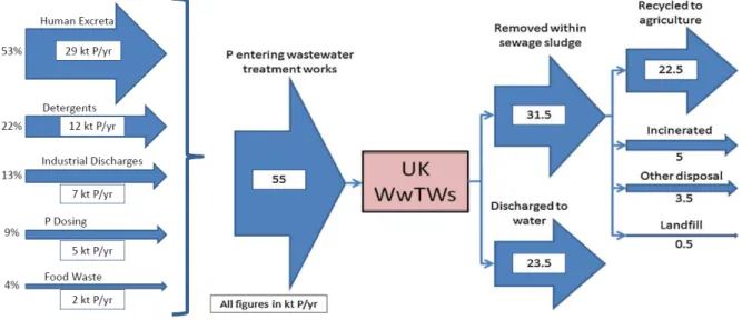 Figure 8: Phosphorus flows through UK wastewater treatment plants. 