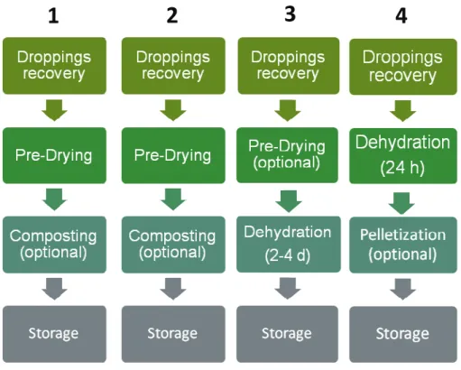 Figure 4: Unit operations of the treatment of poultry manure – 1. Pre-Drying with perforated belt  or floor, 2