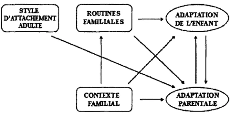 Figure 3. Figure des relations confirmées par les analyses multivariées.