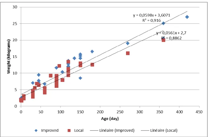 Figure 12: Evolution of the improved and local goat’s weight 