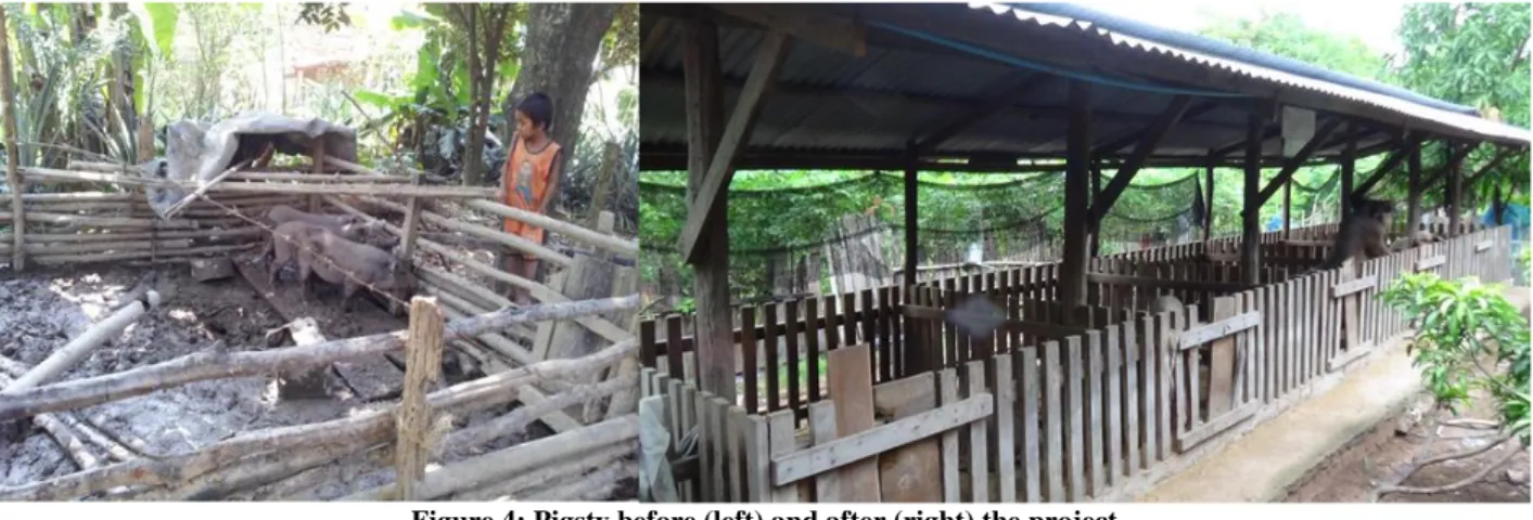 Figure 4: Pigsty before (left) and after (right) the project 
