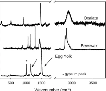 Figure 3: Raman spectra of organic compounds detected in the samples