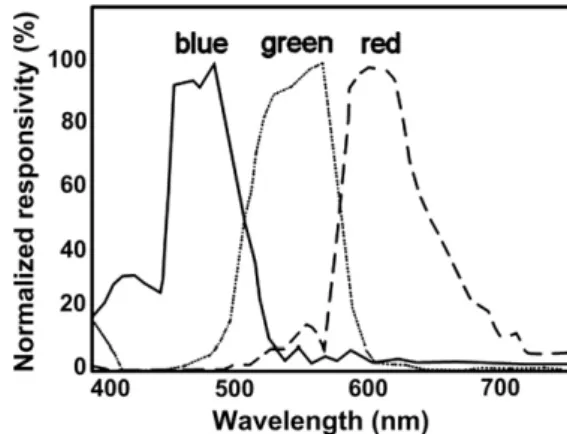 Fig. 2. 3 CCD sensor ﬁtted to a prism to discharge speciﬁc colour electrons (Pirard, 2004).