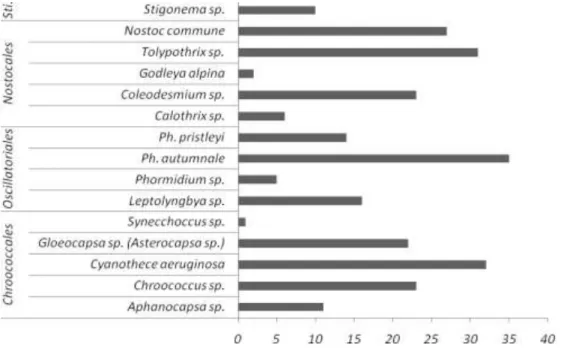 Figure  11:  Occurrence  of  the  15  morphotypes  observed  by  microscopy  in  the  126  samples