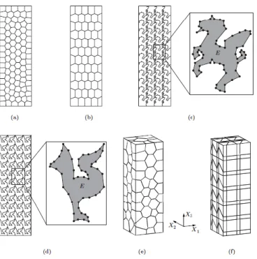 Figure 1. Example of 2D mesh that can be used  in connection with VEM (courtesy of A. Russo)