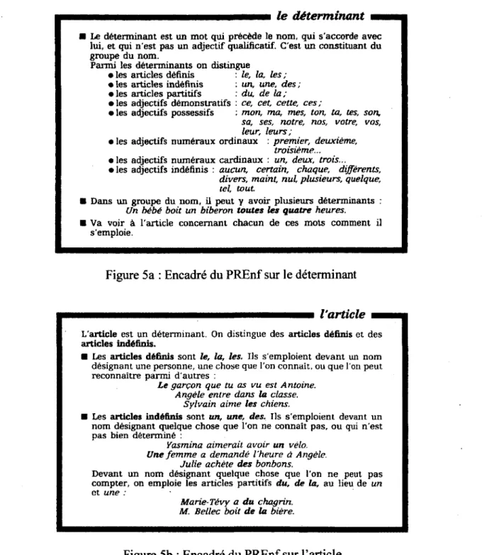 Figure 5a : Encadré du PREnf sur le déterminant 