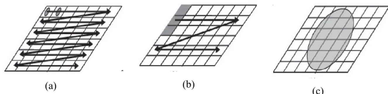Figure 12 : Les trois différentes approches pour l'obtention d'image chimique : (a) le  point mapping, (b) le line  mapping et (c) le global imaging 