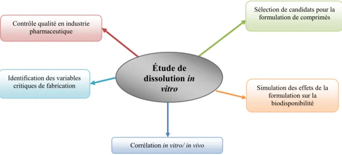 Figure 15 : Rôle du test de dissolution in vivo Identification des variables 