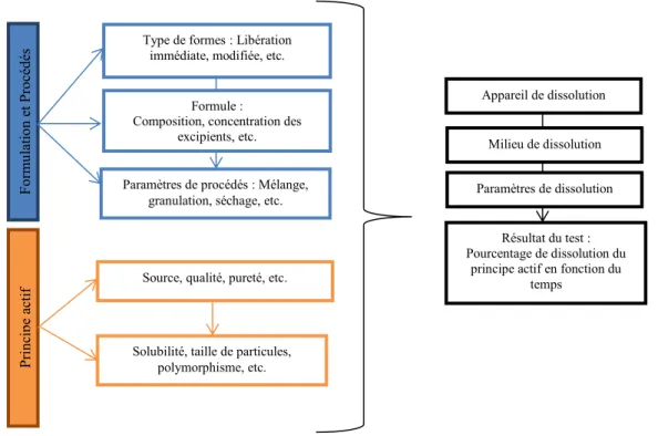 Figure 18 : Test de dissolution comme reflet de la complexité pharmaceutique de produits finis (Scheubel,  2010)  