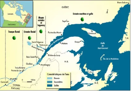 Figure 2.1 : L’estuaire maritime du Golfe Saint-Laurent  (Stratégies Saint-Laurent, 2011) 