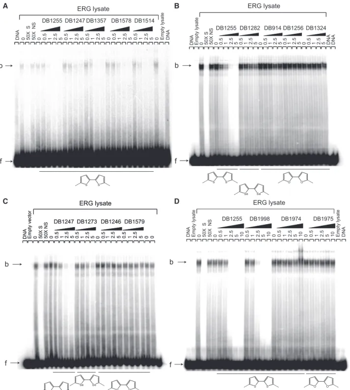 Figure 2. Validation of the ERG/EBS complex inhibition by the evaluated diamidine compounds