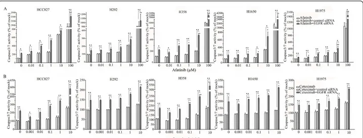 Figure 11 Enhancement of apoptosis induction by the combination of EGFR siRNA plus afatinib or cetuximab