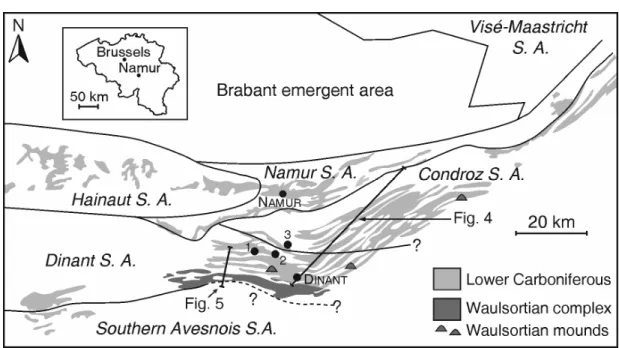Figure 3. Late Tournaisian sedimentation areas in the Namur-Dinant Basin (not palinspastic) (modified from  Poty et al