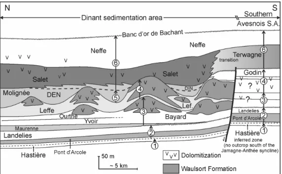 Figure 5. Pirotte’s (2006) modified model of stacking of the third-order sequences (numbered black arrows) in  the southern part of the Dinant sedimentation area and in the southern Avesnois sedimentation area, from the  Lower Tournaisian to Lower Viséan; 