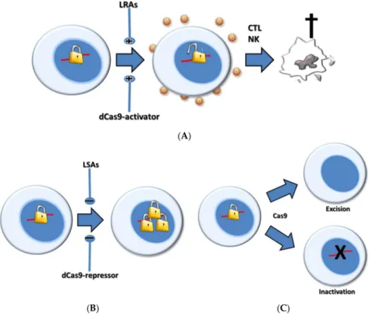 Figure 1. Pharmacological versus clustered regularly interspaced palindromic repeats (CRISPR)-based anti-human immunodeficiency virus (HIV) strategies