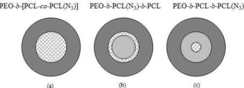 Figure 1. Structure of core cross-linked micelles versus macromolecular architecture.  