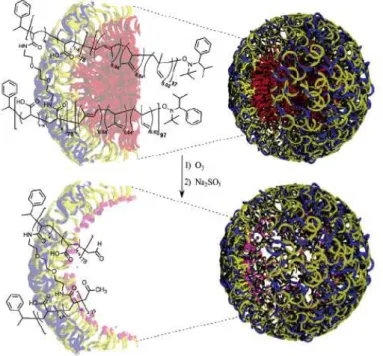 Figure 7. Production of nanocages resulting from the ozonolytic degradation of   the poly(isoprene) core of shell cross-linked polymer micelle template 