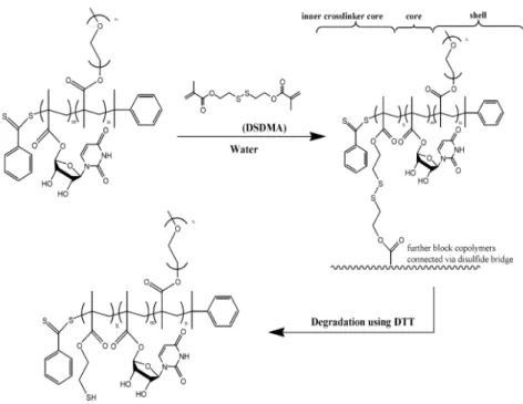 Figure 10. Synthesis and degradation of core cross-linked micelles of PPEGMEMA-b-PMAU 