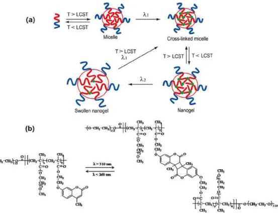 Figure 13. Preparation of core cross-linked micelles and photo-controlled volume change   of PEO-b-P(MEOMA-co-CMA) nanogels 