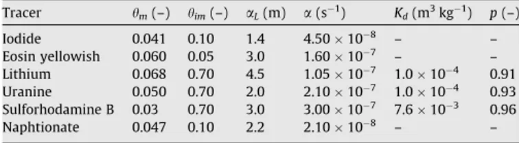 Fig. 8. Location of the main pollution source in the model and ﬁve control planes deﬁned towards the river for modelling benzene transport in the aquifer.