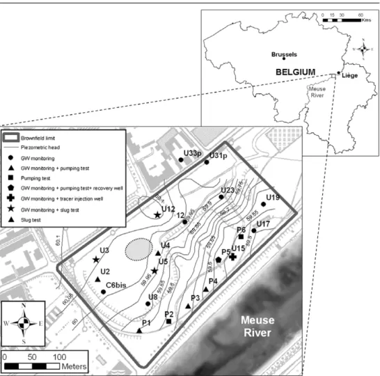 Fig. 2. Surface water level ﬂuctuations of the Meuse River and groundwater heads at selected wells for different periods