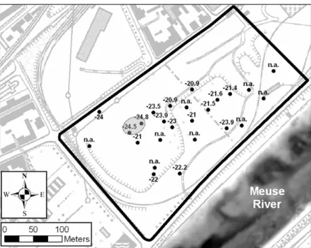 Fig. 4. d 13 C isotope ratios of residual benzene in the groundwater of the ﬁeld site