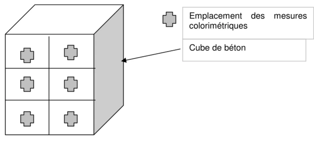 Figure 1. Cartographie des emplacements utilisés pour les mesures colorimétriques 