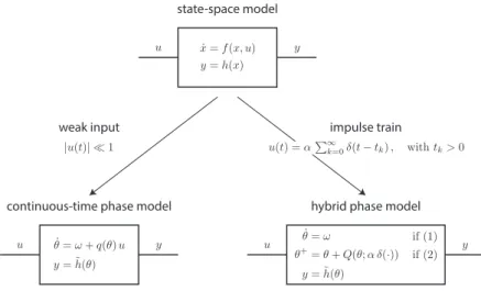 Figure 3.3 – Phase models for single oscillators. For weak inputs, phase reduction methods lead to continuous-time phase models characterized by 