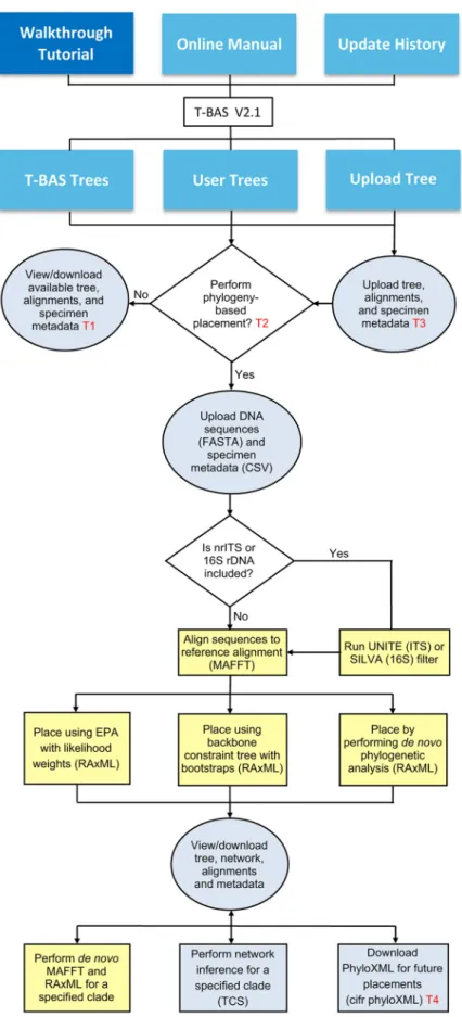 FIG 1 A schematic ﬂowchart showing the three major features in T-BAS version 2.1 and their partitioning between servers at North Carolina (NC) State University (blue) and CIPRES (yellow)