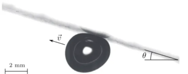 Fig. 1: Typical image of an air bubble (R 0 = 2.1 mm), im- im-mersed in a water bath, sliding under an inclined plate (θ = 16.7 ◦ ) at a speed v = 0.16 m/s.