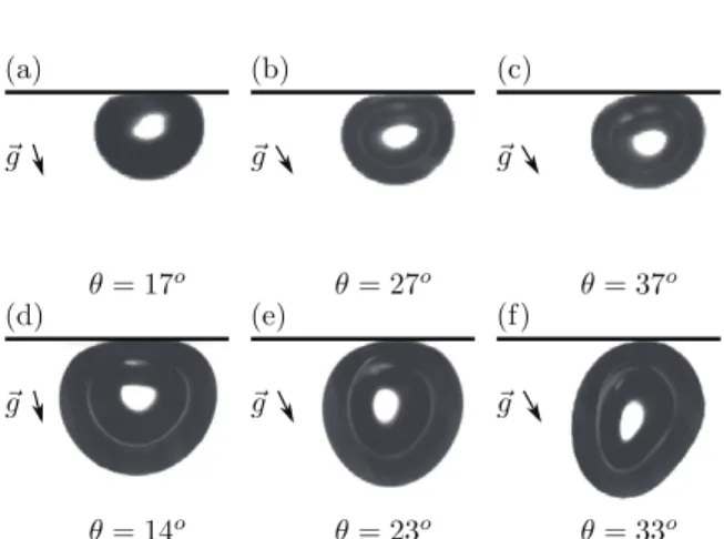 Fig. 2: Shape of an air bubble for three diﬀerent tilt angle values. For (a)–(c) the radius is R 0 = 0.8 mm and the  sur-rounding ﬂuid silicone oil 131 cS
