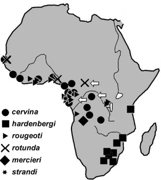 Figure 5: Distribution of African species belonging to  the genus Eumeta Walker, 1855 and location of  known consumptions of this taxon (arrows)